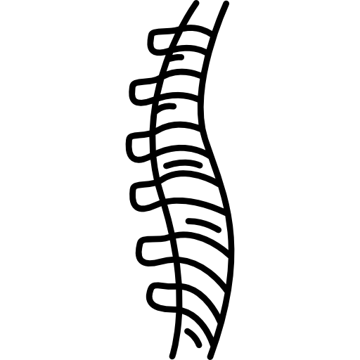 脊椎icon