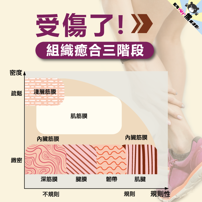 藍海曙光集團 部落格 樂齡健康