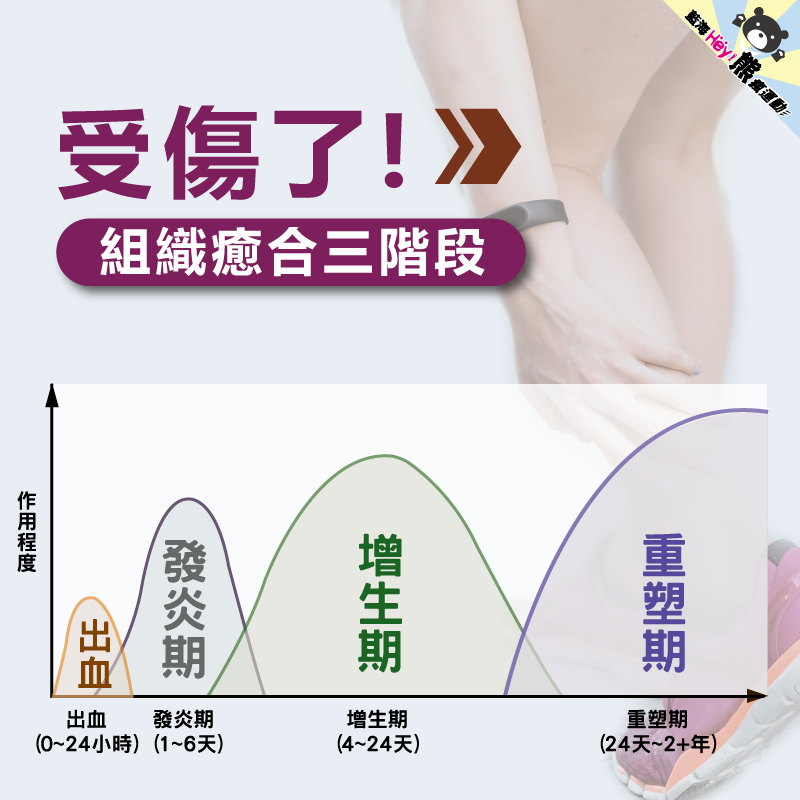 藍海曙光集團 部落格 樂齡健康