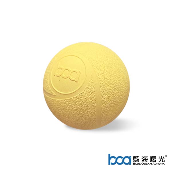 藍海曙光集團- BOA購物網- 首頁>> 新品上市>> BOA藍海曙光Mr. Roller